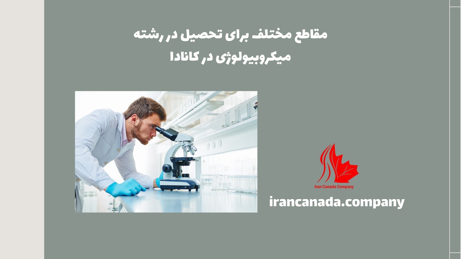 مقاطع مختلف برای تحصیل در رشته میکروبیولوژی در کانادا