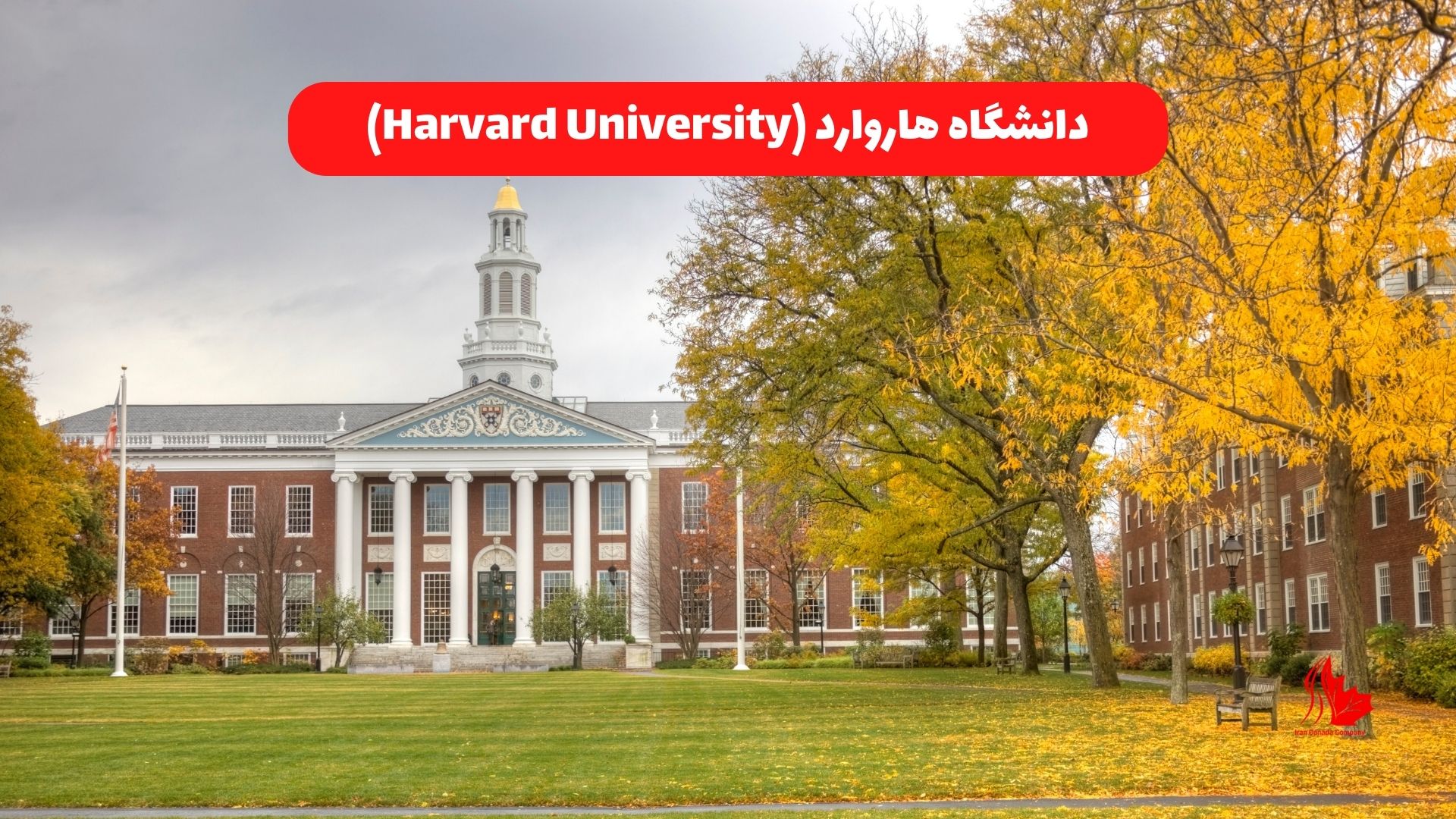 دانشگاه هاروارد (Harvard University)