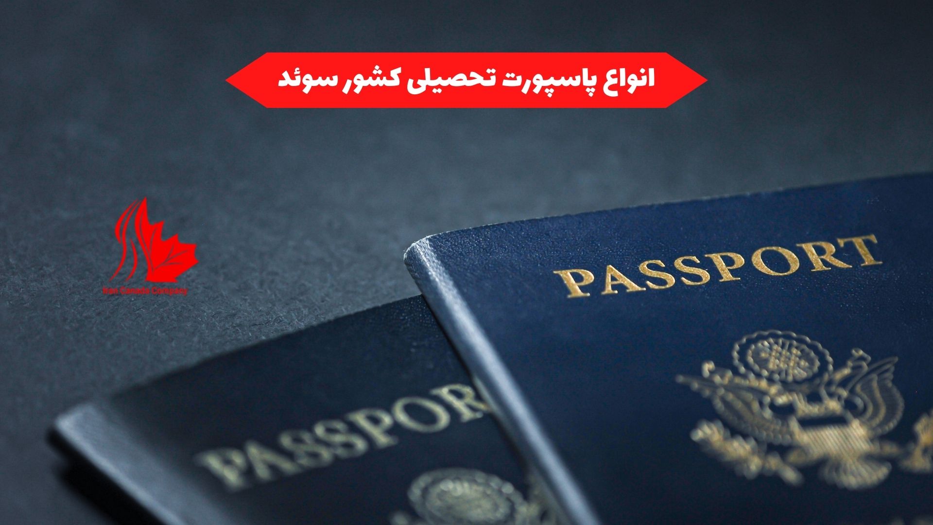 انواع پاسپورت تحصیلی کشور سوئد