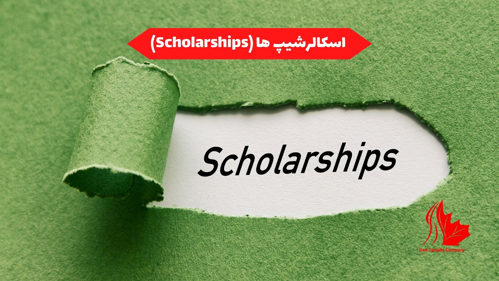 اسکالرشیپ ها :(Scholarships)
