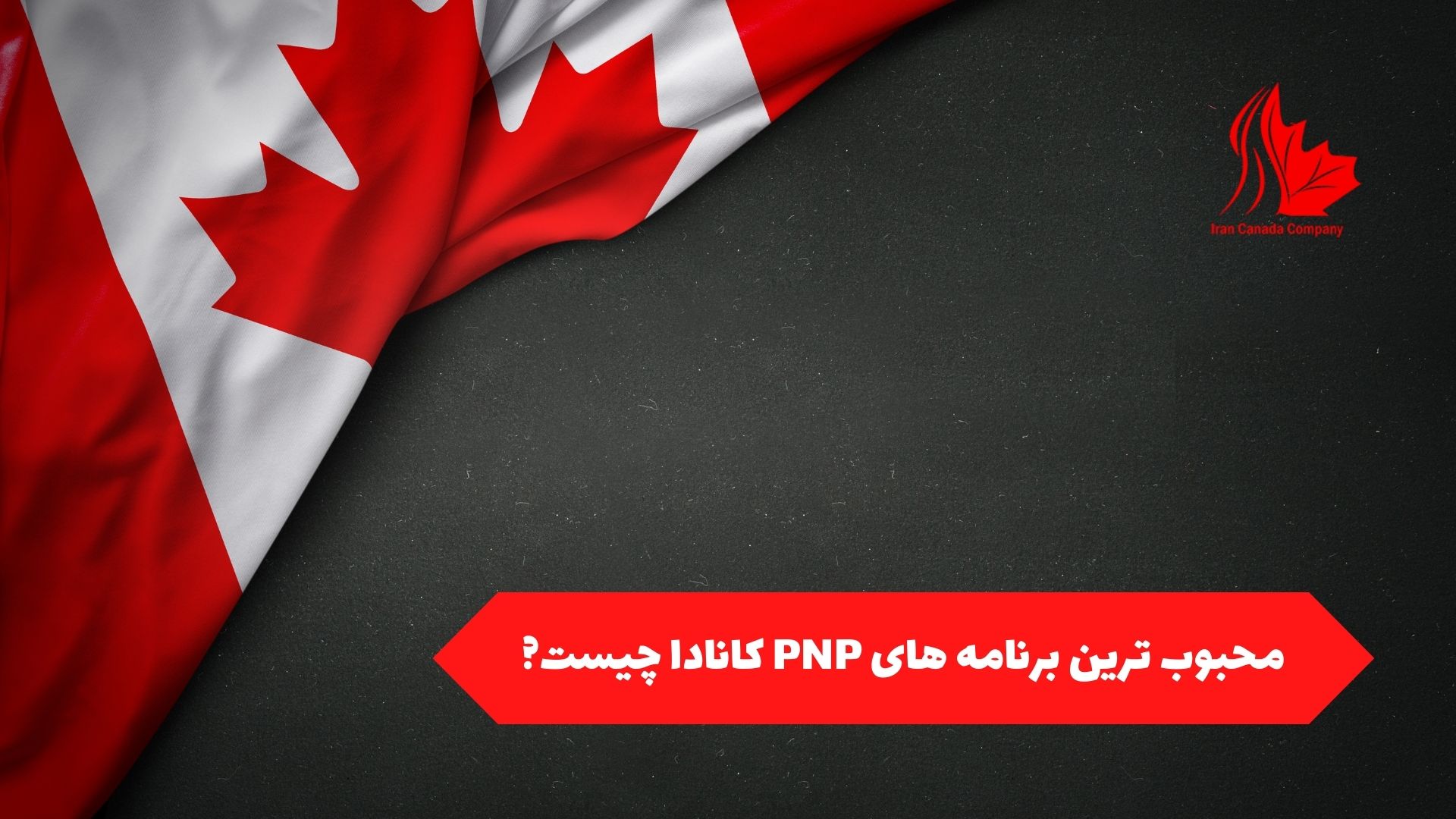 محبوب ترین برنامه های PNP کانادا چیست؟