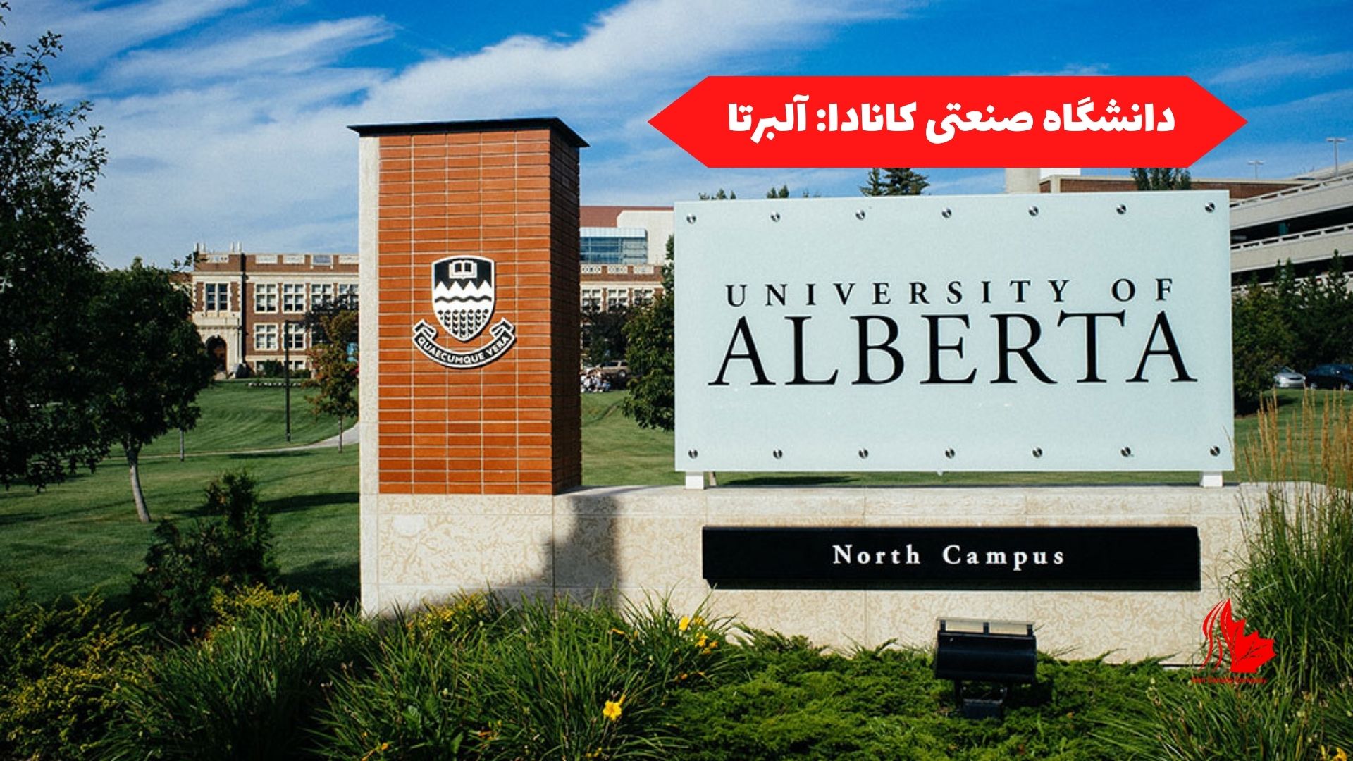 دانشگاه صنعتی کانادا: آلبرتا