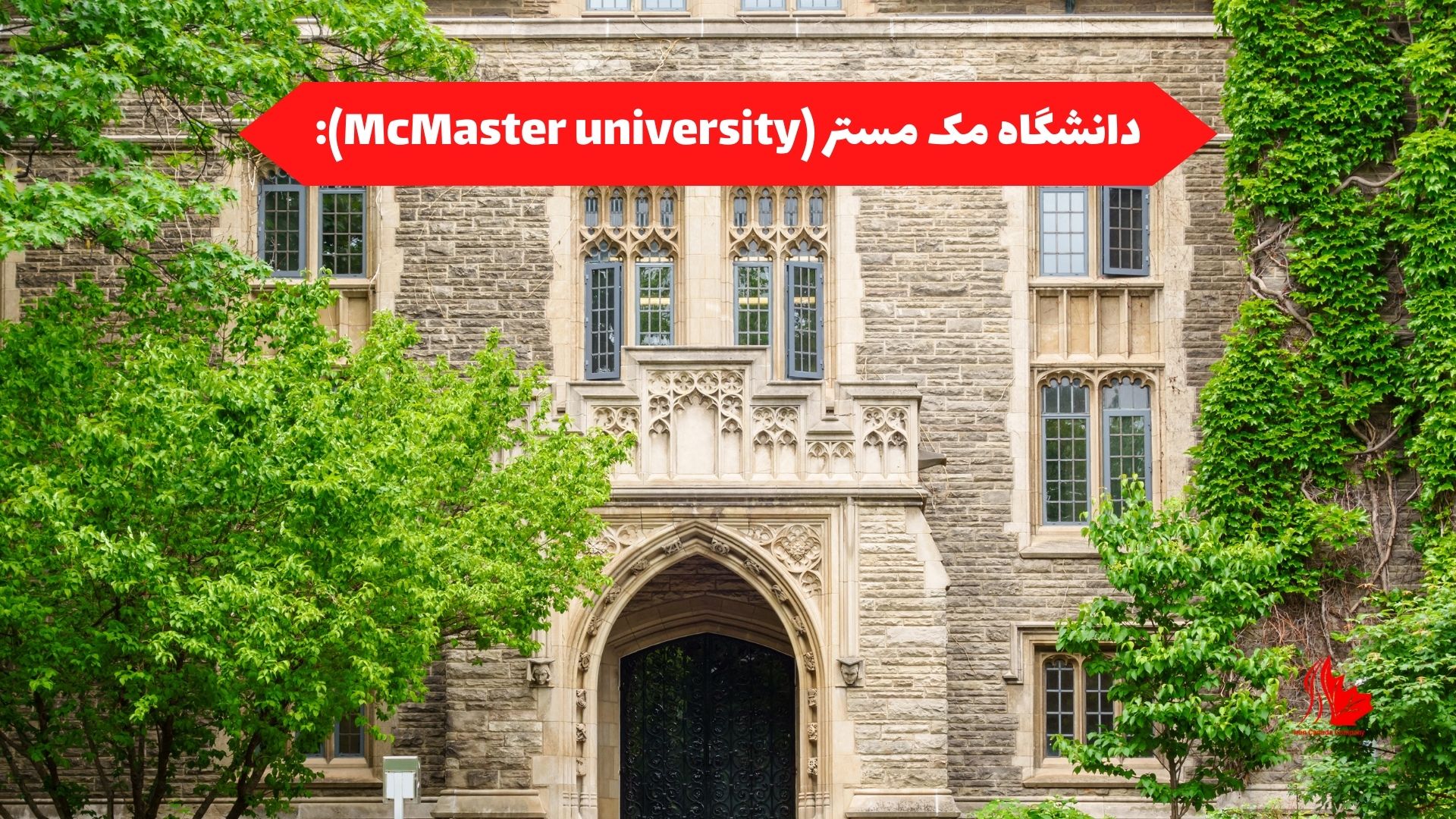 دانشگاه مک مستر (McMaster university):