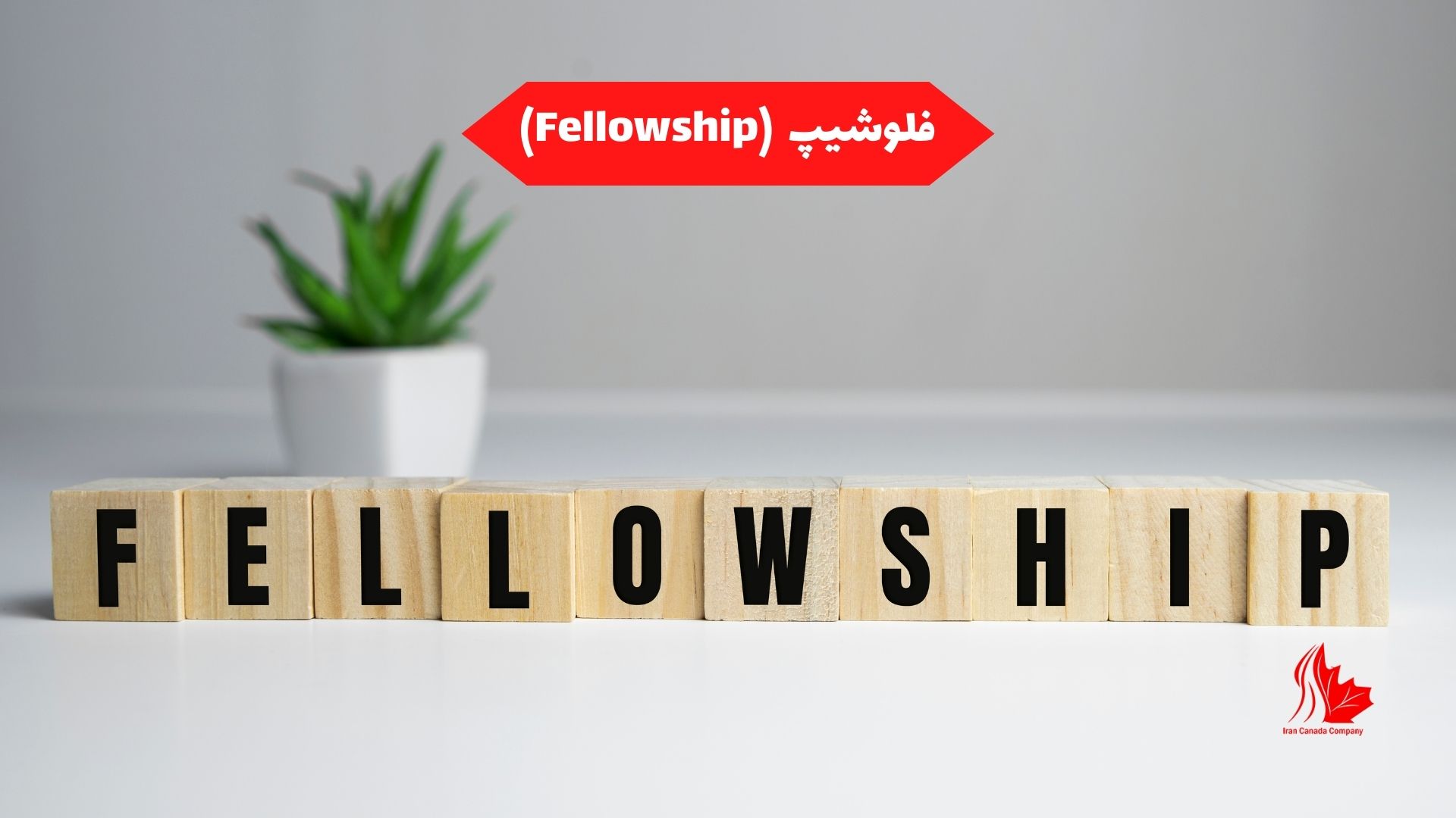 فلوشیپ (Fellowship)
