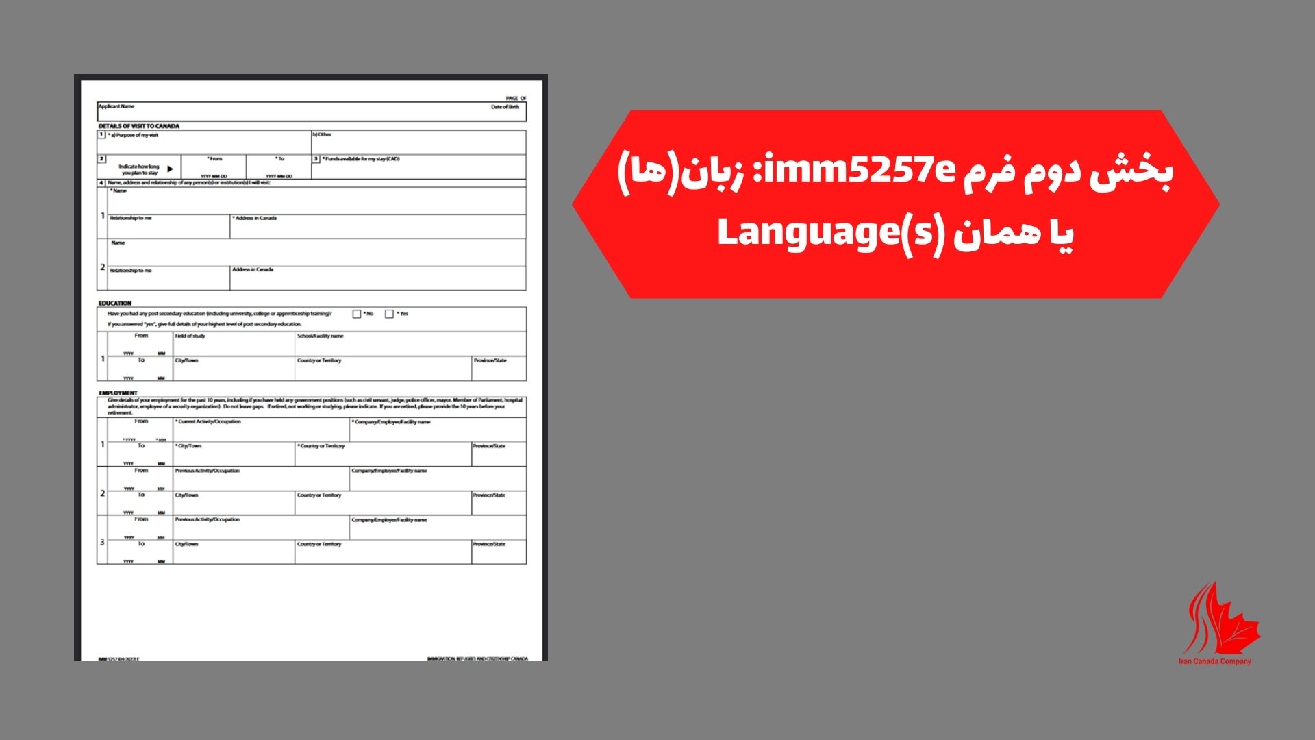 بخش دوم فرم imm5257e: زبان(ها) یا همان Language(s)