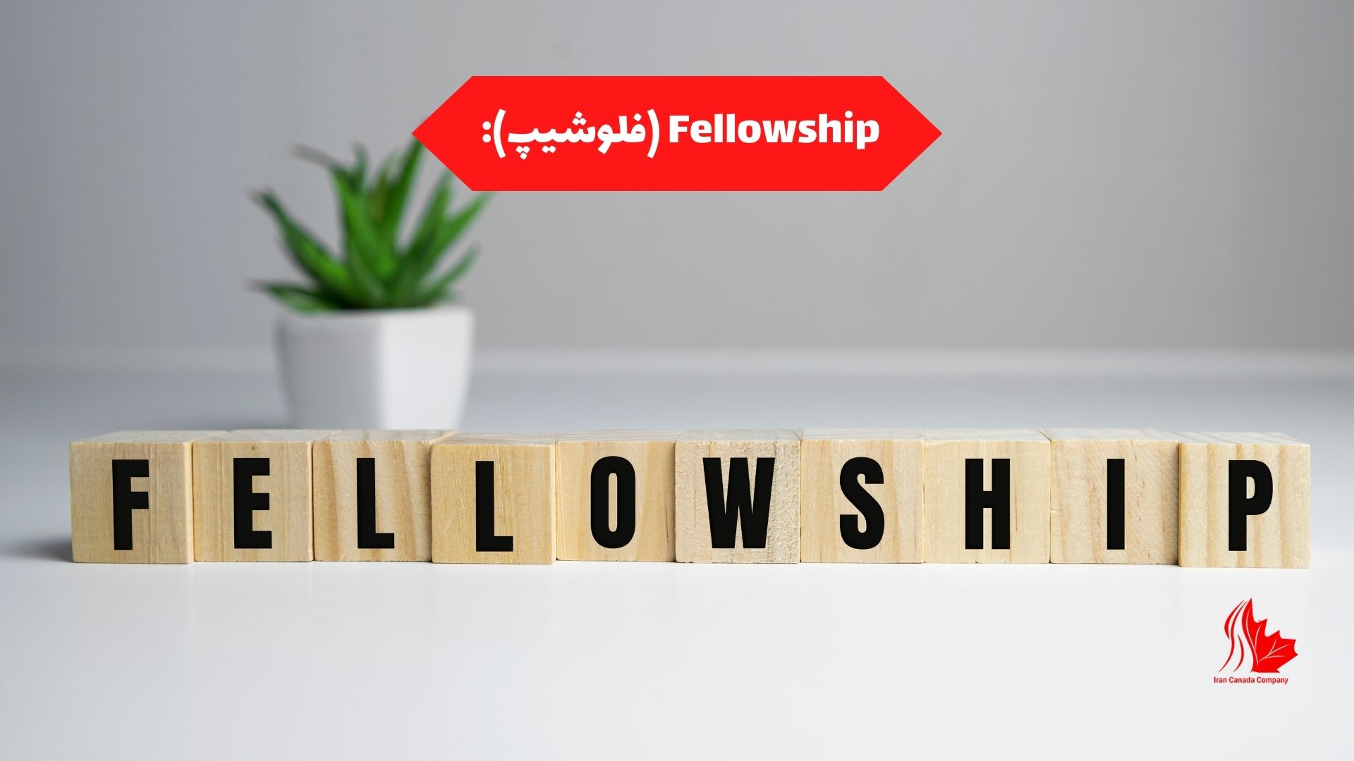 Fellowship (فلوشیپ):