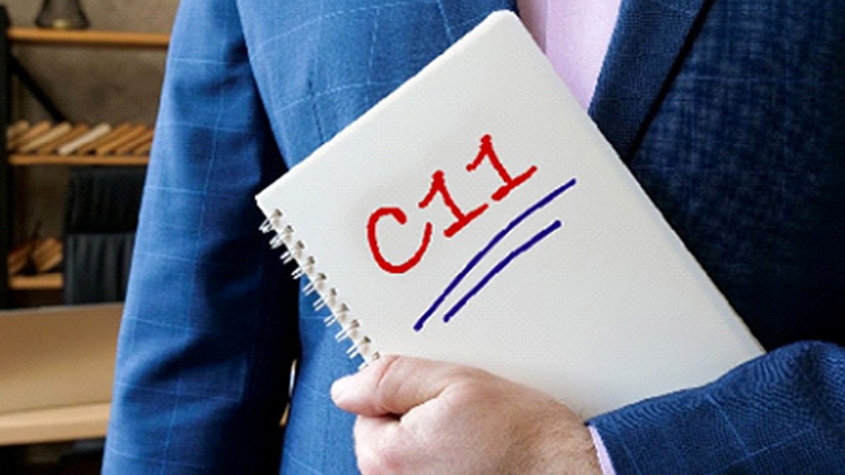 ویزا C11 کانادا چیست؟